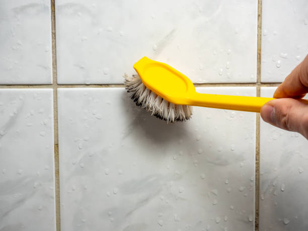 Home Mold Removal in Houston, MS