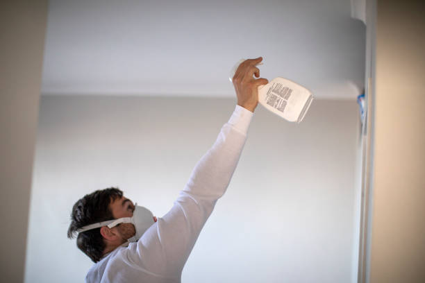 Best Fast Mold Removal  in Houston, MS