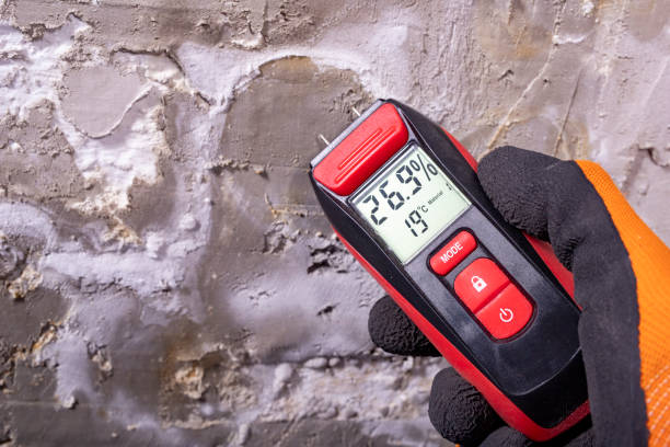 Best Residential Mold Removal  in Houston, MS