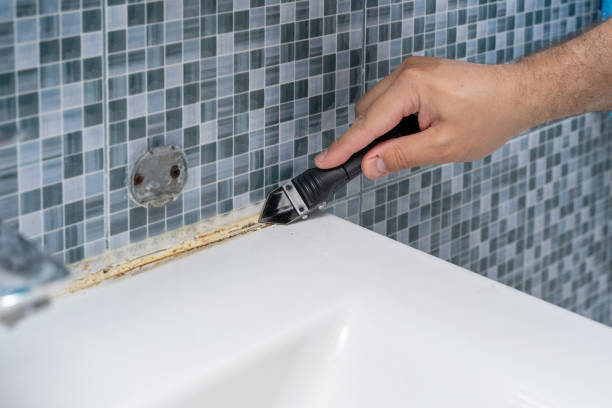 Best Toxic Mold Removal  in Houston, MS
