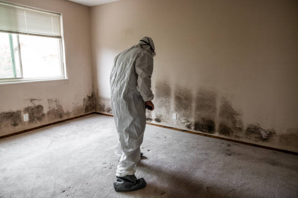 Best Crawl Space Mold Removal  in Houston, MS