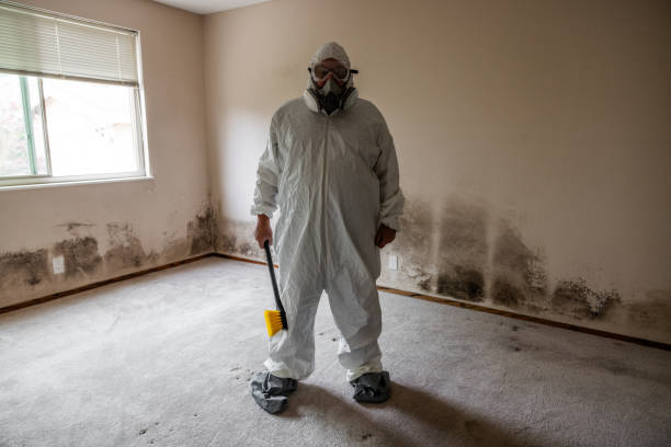 Best Crawl Space Mold Removal  in Houston, MS